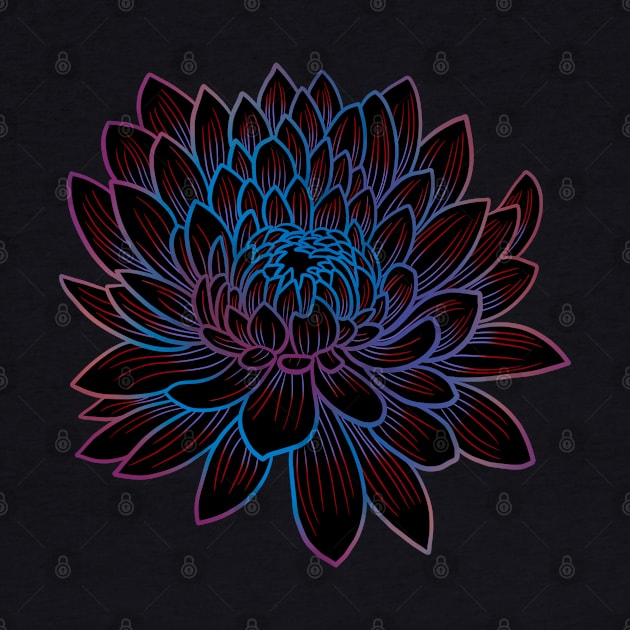 Colorful chrysanthemum or Mums flower drawing - light blue faded to red and purple by DaveDanchuk